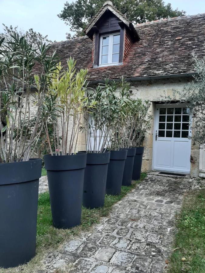 Gite Des Chateaux De La Loire Вілландрі Екстер'єр фото